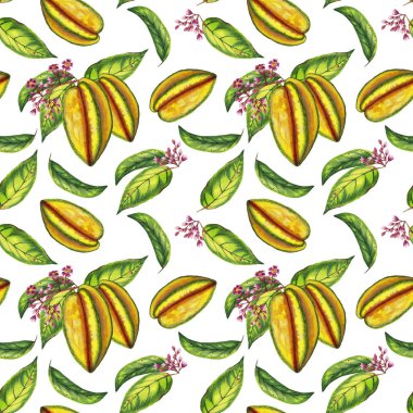 Gerçekçi Carambola 'nın kusursuz deseni, çiçekler ve yapraklar. Dallarda ve tek başına renkli bütün bir yıldız meyvesi. Suluboya elle beyaz arkaplana izole elementler çizdi.