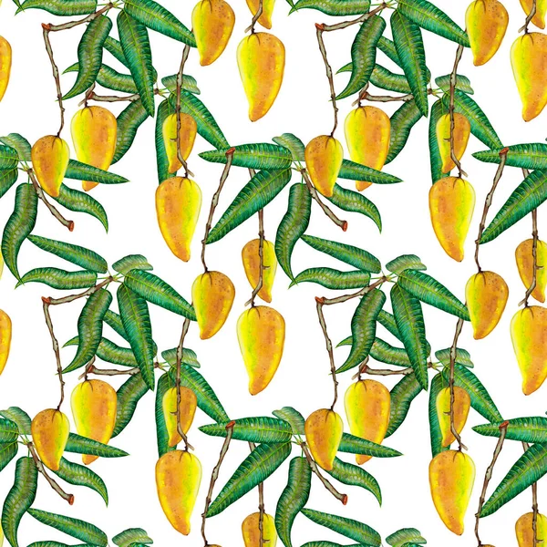 Patrón Sin Costuras Mango Tailandés Amarillo Realista Coloridos Frutos Maduros — Foto de Stock