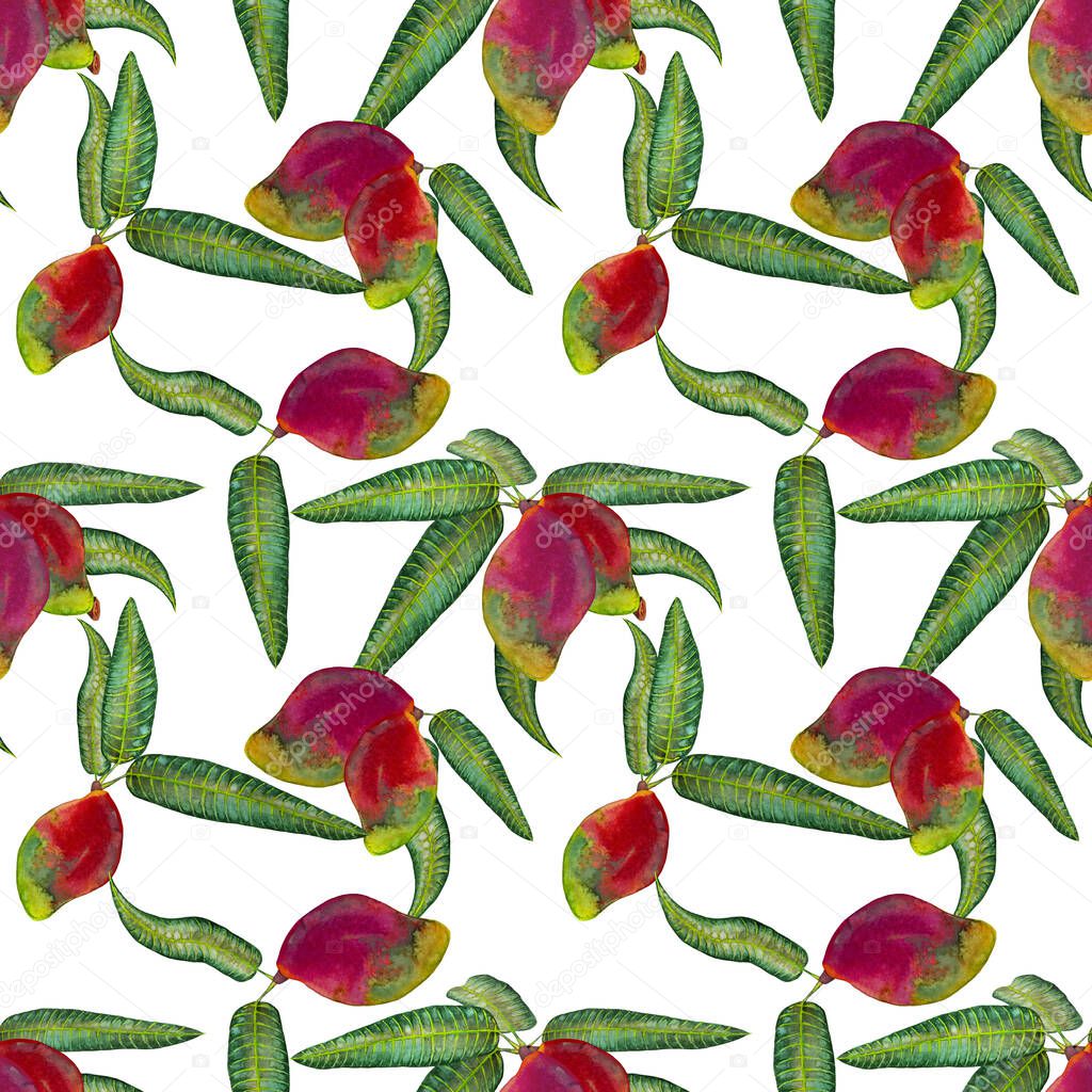 Seamless pattern of realistic big red mango. Colorful ripe fruits with leaves. Famous tropical food. Watercolor hand painted isolated elements on white background.