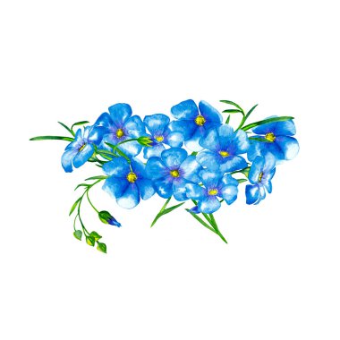 Yeşil saplı ve tomurcuklu gerçekçi mavi keten çiçeklerden oluşan hassas oval buket. Renkli festival arkaplanı. Suluboya elle beyaz arkaplana izole elementler çizdi.