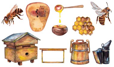 Bal ve arıların rengarenk ürünlerinden oluşan büyük bir set. Ahşap arı kovanı, balmumu taraklar, çerçeve, fıçı, sigara içici. Suluboya elle beyaz arkaplana izole elementler çizdi.