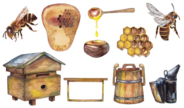 Большой Набор Красочных Реалистичных Пчеловодческих Товаров Меда Пчел Деревянный Пчелиный Стоковое Фото