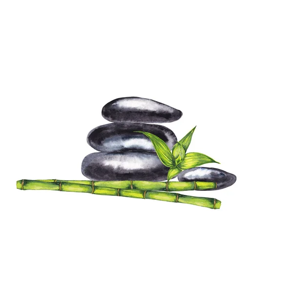Zen spa pebbles and bamboo. Harmony and balance illustration. Smooth flat black stones with green stems and leaves. Watercolor hand painted isolated elements on white background.