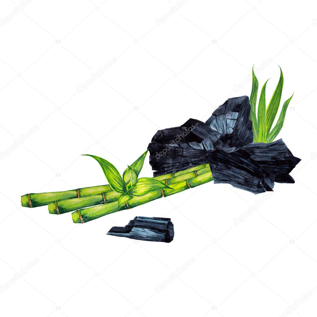 Charcoal and bamboo. Natural cosmetic products illustration. Scrub and  absorbent component with green stems and leaves. Watercolor hand painted isolated elements on white background.