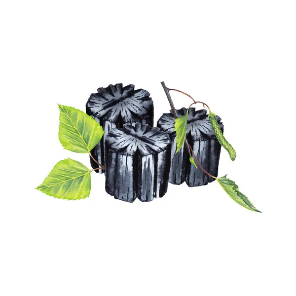 Вугілля Свіжа Рослина Натуральний Брикет Чорного Вугілля Зеленою Березовою Гілкою — стокове фото