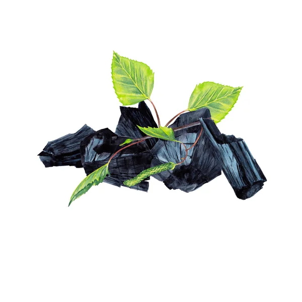 Szén Friss Növény Természetes Széndarabok Zöld Nyírfaággal Levelekkel Akvarell Kézzel — Stock Fotó