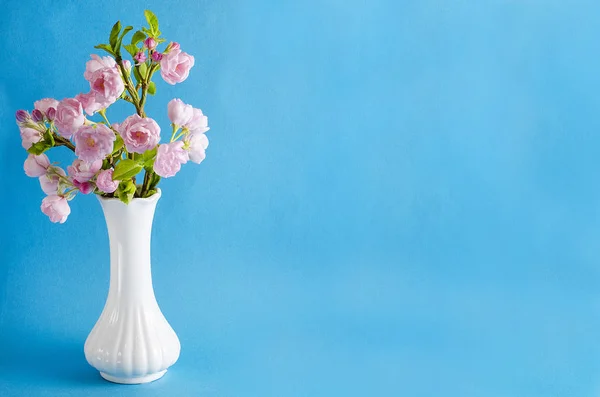Carte de vacances fond pour une inscription. Branches de sakura en fleurs dans un vase blanc sur fond bleu avec espace de copie. 8 mars Fête des femmes, Fête des mères — Photo