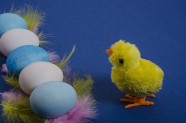 Beyaz ve mavi Paskalya yumurtalı oyuncak tavuk ve tüylü klasik mavi arka planda fotokopi alanı. Yan görüş. Mutlu Paskalyalar.