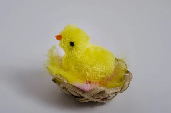Påskkortsbakgrund Leksakskyckling Ett Med Fjädrar Vit Bakgrund Med Kopieringsutrymme Glad — Stockfoto