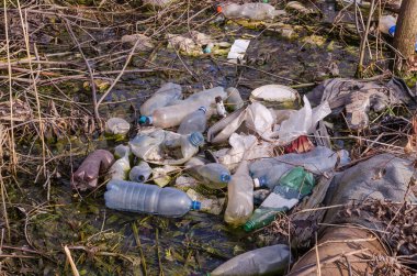Bir gölün, gölün, nehrin kirliliği. Plastik şişeler ve çöpler suyun yüzeyinde toplandı. Ekoloji sorunları. Sıfır kayıp. Su kirliliği, insan faaliyetlerinin neden olduğu bir sorundur..