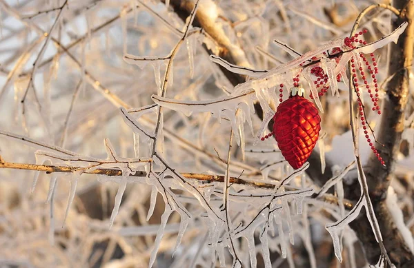 Natureza Inverno Fundo Natal Com Ramo Congelado Com Luzes Brilhantes — Fotografia de Stock