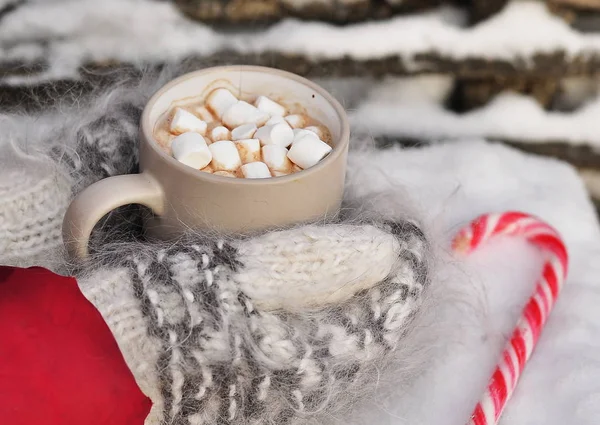 Cacau Com Marshmallows Foto Quente Inverno Que Mãos Luvas Malha — Fotografia de Stock