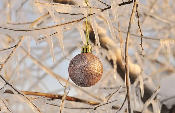 Naturaleza Invierno Fondo Navidad Con Rama Congelada Con Luces Brillantes Fotos de stock libres de derechos