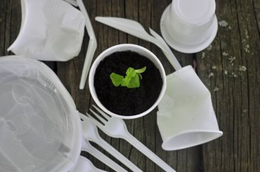 Tahtaların arasında, plastik çöplerin arasında yeşil bir filiz. Ekoloji kavramı, doğanın korunması.
