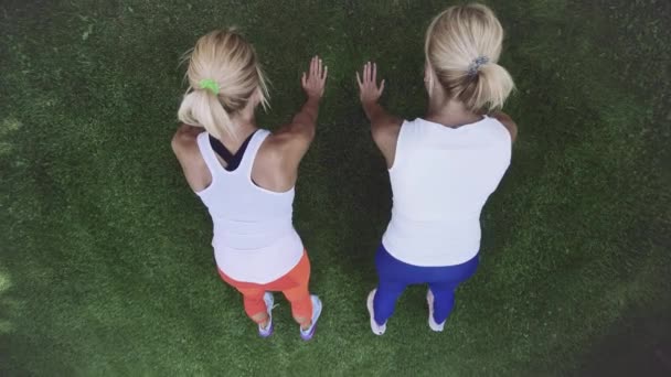 Dois Gêmeos Loiros Camisetas Brancas Fazendo Exercícios Esportivos Grama Verde — Vídeo de Stock