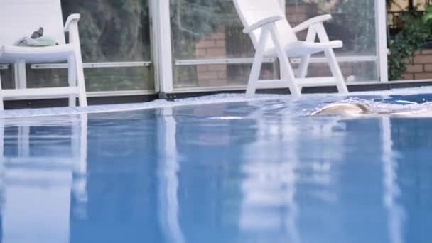 Blondine Rosa Badeanzug Schwimmt Einem Pool Mit Klarem Blauem Wasser — Stockvideo