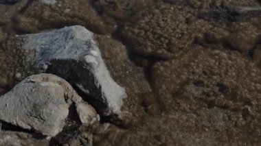berrak su boyunca, bir çok kabarcıkla kaplı kahverengi kayalık taban görünür.