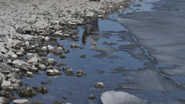 Reflection Water Ice Young Couple Cuddles Sunny Spring Day — Stockvideo