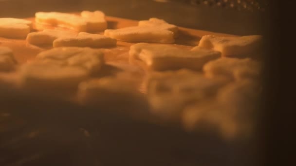 オーブンで焼くベーキングシート上のクッキーの上にフォーカスシフト クローズアップ — ストック動画