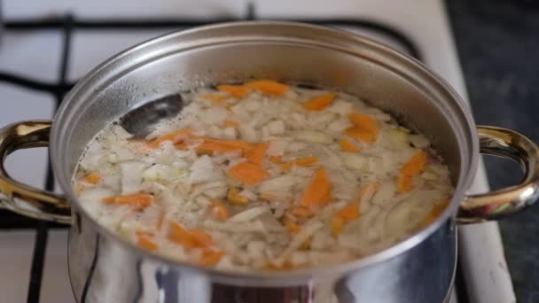 Vegetarian vegetable soup cooked in a metal pan, close-up. — Stock Footage Vegetarian Vegetable Soup Cooked Metal Pan Close Royalty Free Stock Video