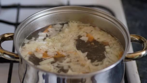 金属製の鍋で調理されたベジタリアンスープ クローズアップ — ストック動画