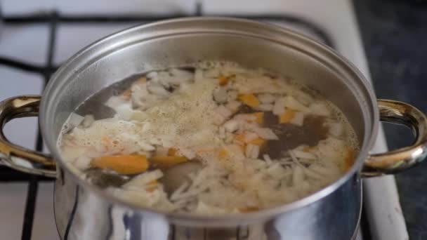 Vegetarian vegetable soup cooked in a metal pan, close-up. — Stock Footage Vegetarian Vegetable Soup Cooked Metal Pan Close Stock Video