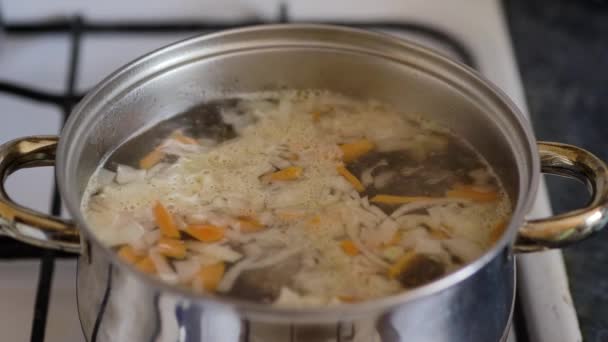 Sup Sayuran Dimasak Dalam Panci Logam Close — Stok Video