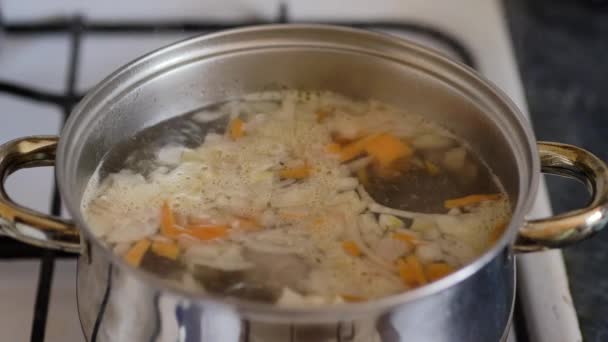 Sopa Vegetariana Verduras Cocida Una Sartén Metal Primer Plano — Vídeos de Stock