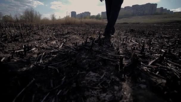 Yangından Sonra Kömürleşmiş Bir Arazide Yürüyen Bir Adam Arka Planda — Stok video