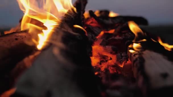 Oheň Hoří Detailní Záběr Plamenů Letní Večer Zpomalený Pohyb Royalty Free Stock Záběr