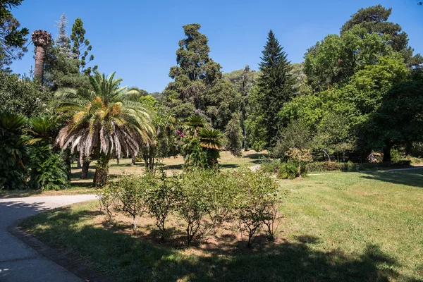 Angielski ogród w pałacu park Caserta Royal — Zdjęcie stockowe