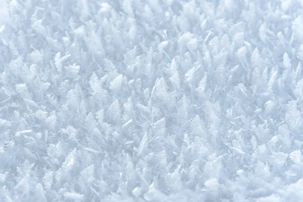 Background made of frozen snow — Stock Photo, Image