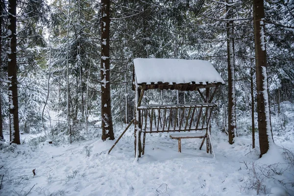 Estante de heno en bosque de invierno —  Fotos de Stock