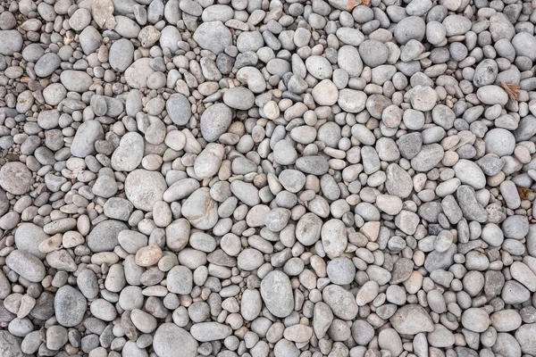 Background made of gray pebbles — Stock Photo, Image