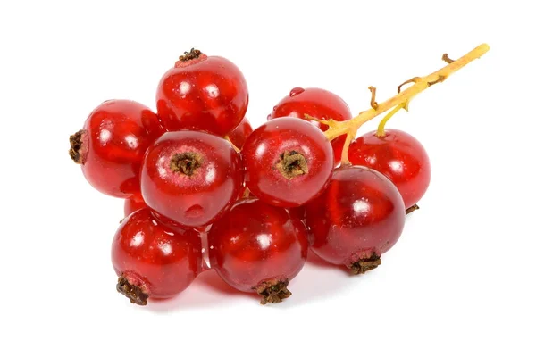 Bunch of red currants on white background — Stock Photo, Image