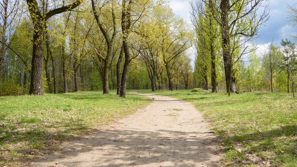 Camino de tierra en el parque en la frontera entre las ciudades de Sosnowiec y Katowice — Foto de Stock