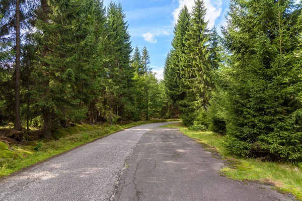 Jizera山区通往Orle庇护所的森林道路 — 图库照片