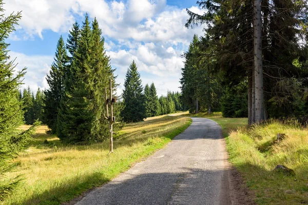 Strada forestale per Orle rifugio nelle montagne di Jizera — Foto Stock