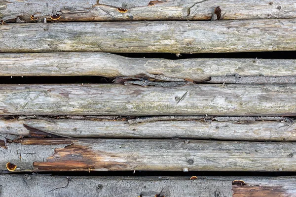 Textura de madeira feita de toras — Fotografia de Stock