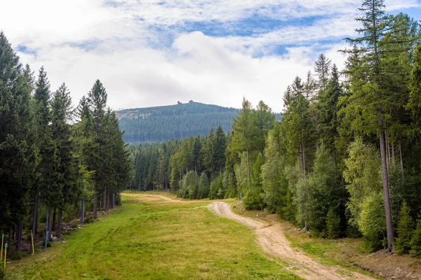 Vue estivale du sentier forestier sur la pente de la montagne Szrenica — Photo