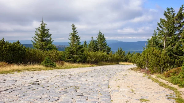 Panoramatický výhled na hlavní horskou stezku v Krkonoších — Stock fotografie