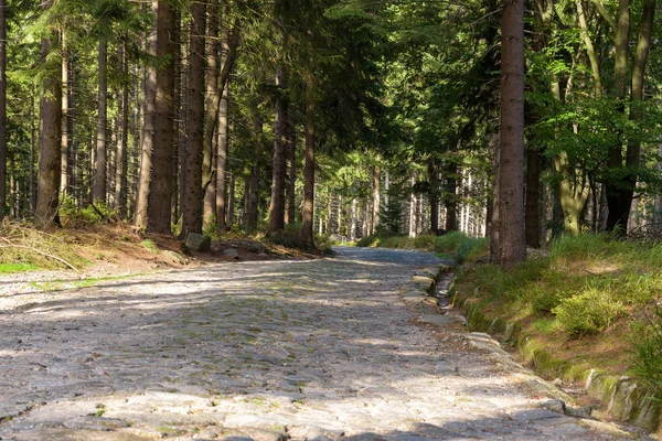 Rode route naar de berghut op Szrenicka Hall — Stockfoto