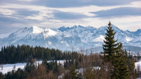 斯洛伐克边境塔特拉山高山冬季景观 — 图库照片