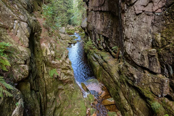 Gorge Rivière Kamienczyk Dans Les Montagnes Géantes Polonaises — Photo