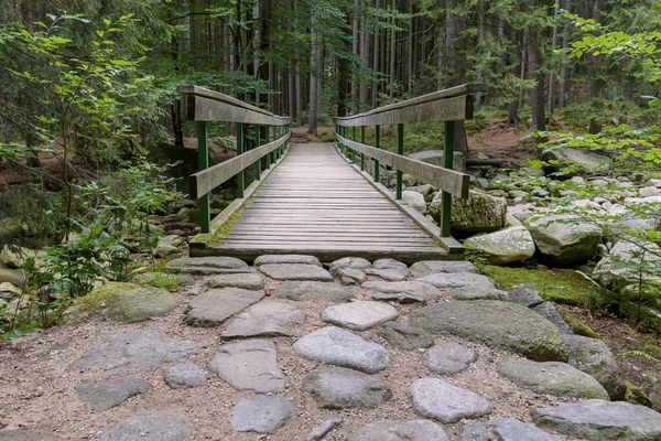 Brücke Über Den Fluss Mumlava Bei Harrachov Tschechischen Riesengebirge — Stockfoto