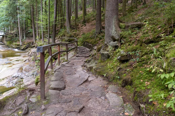 Bospad Naar Mumlava Watervallen Bij Harrachov Het Reuzengebergte Tsjechië — Stockfoto