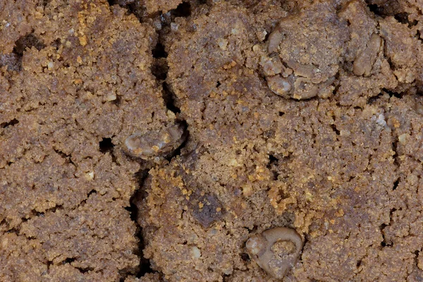 Closeup Chocolate Chips Cookie Confectionery Background Texture — Stock Photo, Image