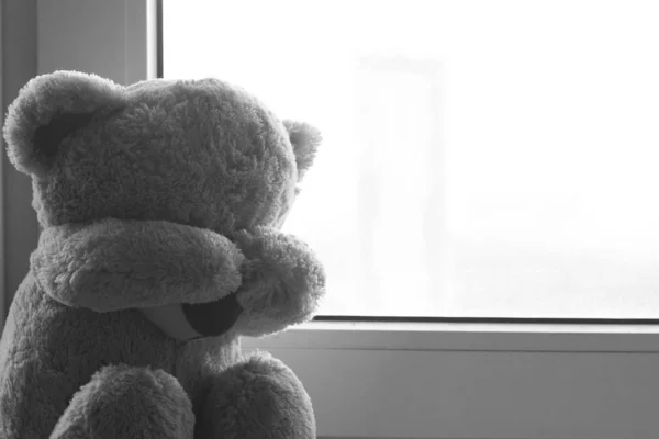 一只柔软的玩具熊坐在窗台上哭泣 照片里有噪音 因为照片是暗的 黑白照片 — 图库照片