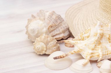 Ahşap bir arka planda deniz kabukları ve hasır şapka. Seyahat ve tatil kavramı.