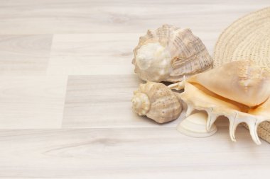 Ahşap bir arka planda deniz kabukları ve hasır şapka. Seyahat ve tatil kavramı.